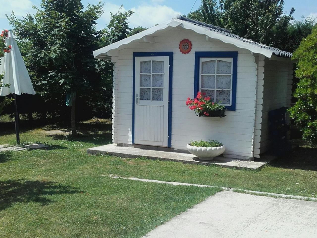 B&B La Zanzara Adria Zewnętrze zdjęcie